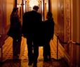 Habitat on the Hill Action Center thumbnail